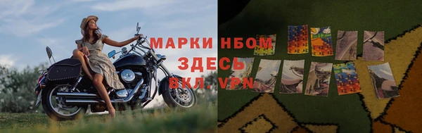 гидропоника Бородино