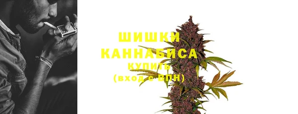 гидропоника Бородино