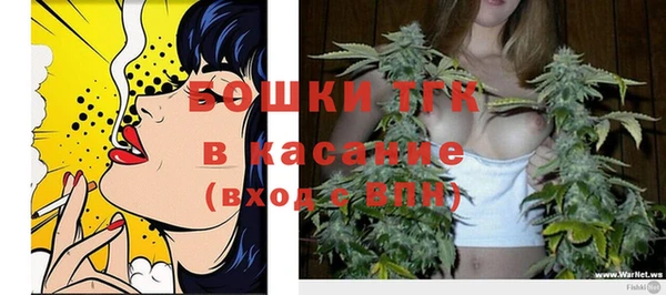 гидропоника Бородино