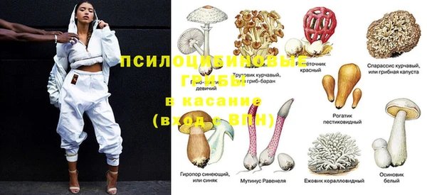 МДПВ Бронницы