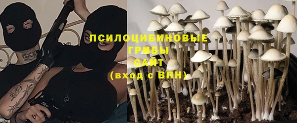 гидропоника Бородино