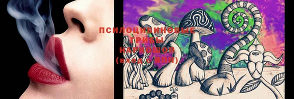 МДПВ Бронницы