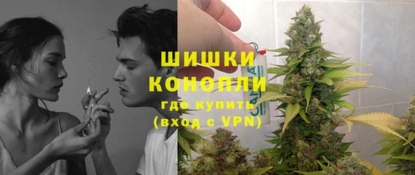 МДПВ Бронницы